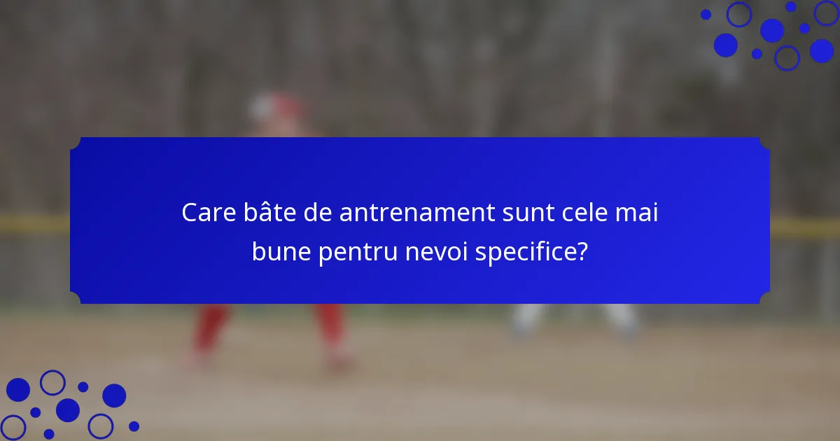 Care bâte de antrenament sunt cele mai bune pentru nevoi specifice?