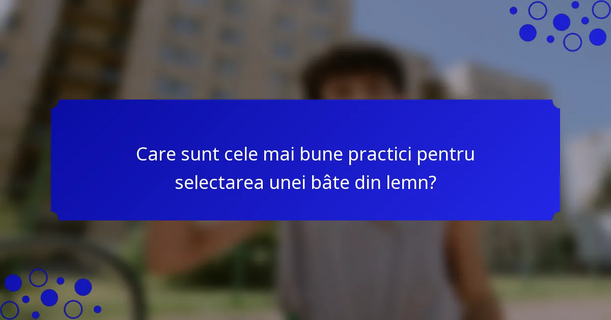 Care sunt cele mai bune practici pentru selectarea unei bâte din lemn?