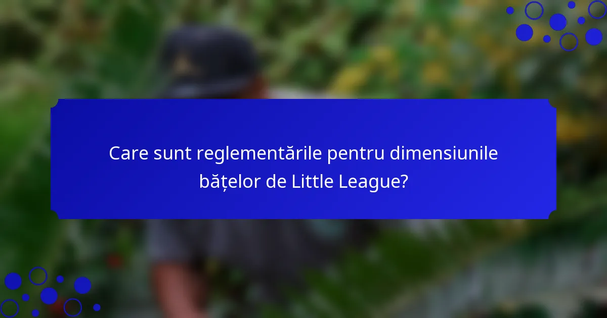 Care sunt reglementările pentru dimensiunile bățelor de Little League?