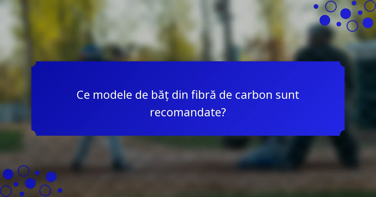 Ce modele de băț din fibră de carbon sunt recomandate?