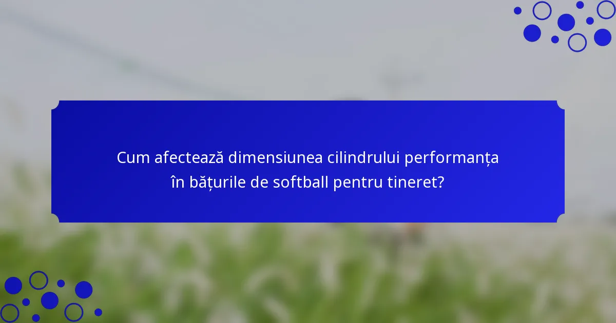 Cum afectează dimensiunea cilindrului performanța în bățurile de softball pentru tineret?