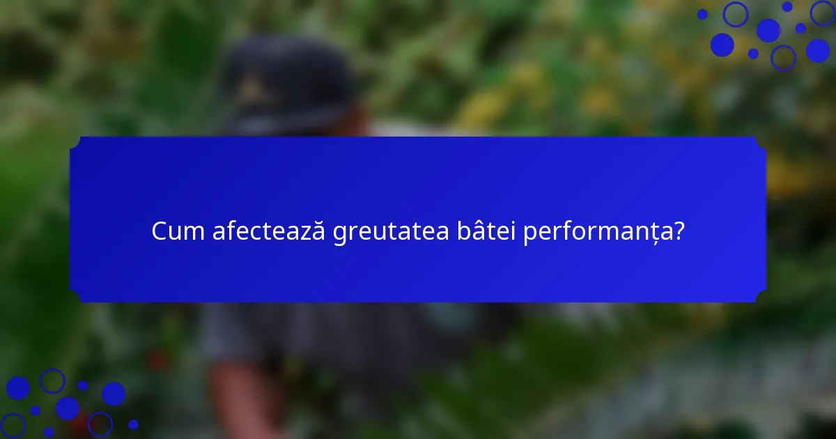 Cum afectează greutatea bâtei performanța?